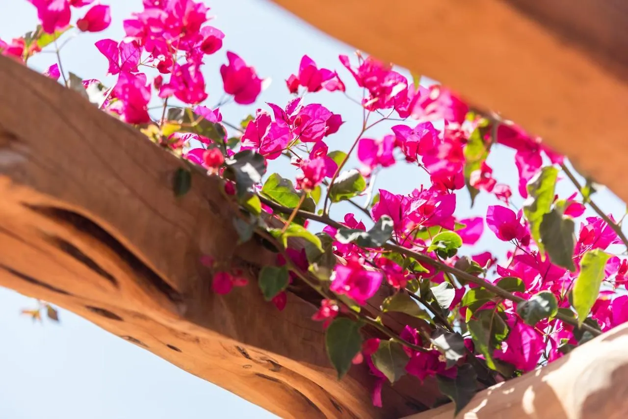 Valley Club Ibiza - Boutique Agroturismo Sant Joan De Labritja Spanien
