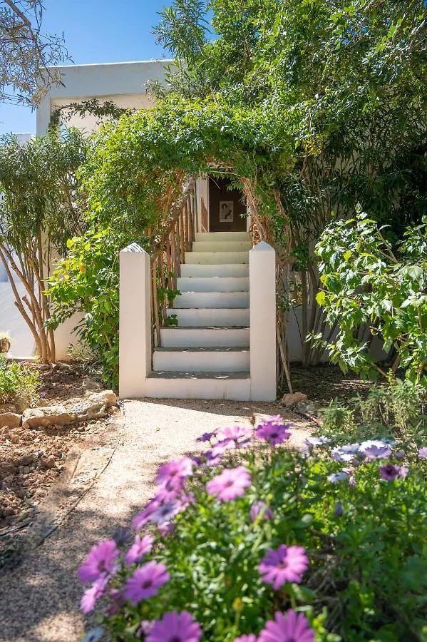 Bauernhof Valley Club Ibiza - Boutique Agroturismo Sant Joan De Labritja