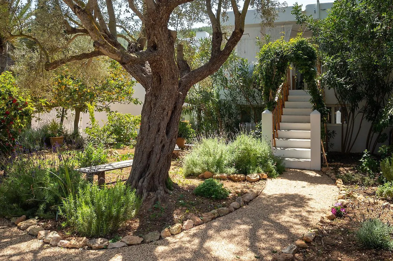 Valley Club Ibiza - Boutique Agroturismo Sant Joan De Labritja Spanien
